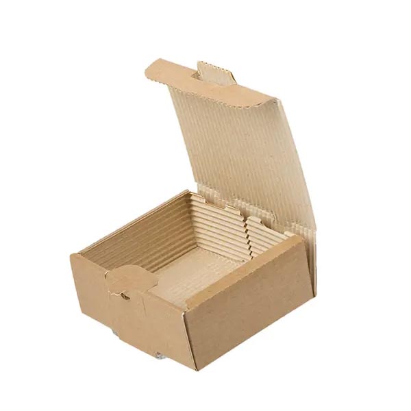 Wood pulp food boxes